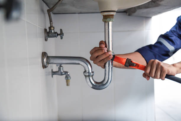 Best Plumbing Services Near Me  in Bradley, IL